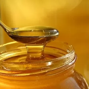 Натуральный мёд с собственной пасеки. Оптом